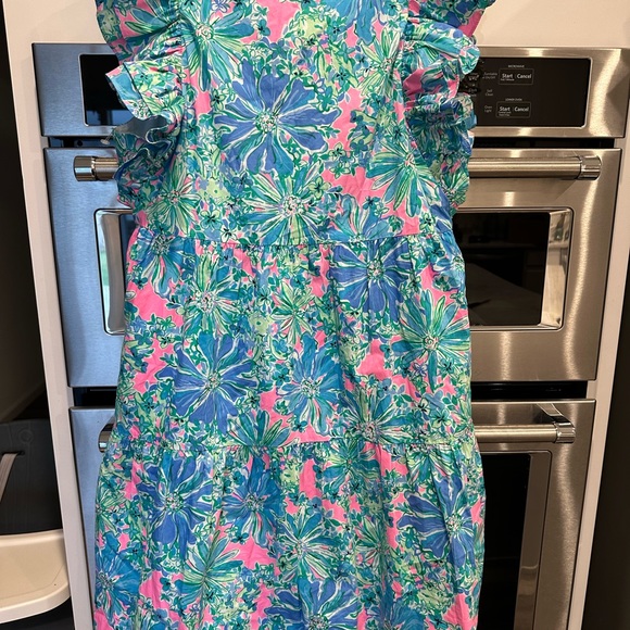 Lilly Pulitzer dress - Picture 7 of 7